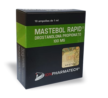 mastebol-rapid